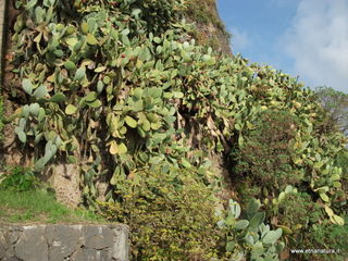 nta Maria la Scala-13-11-2012 08-36-14